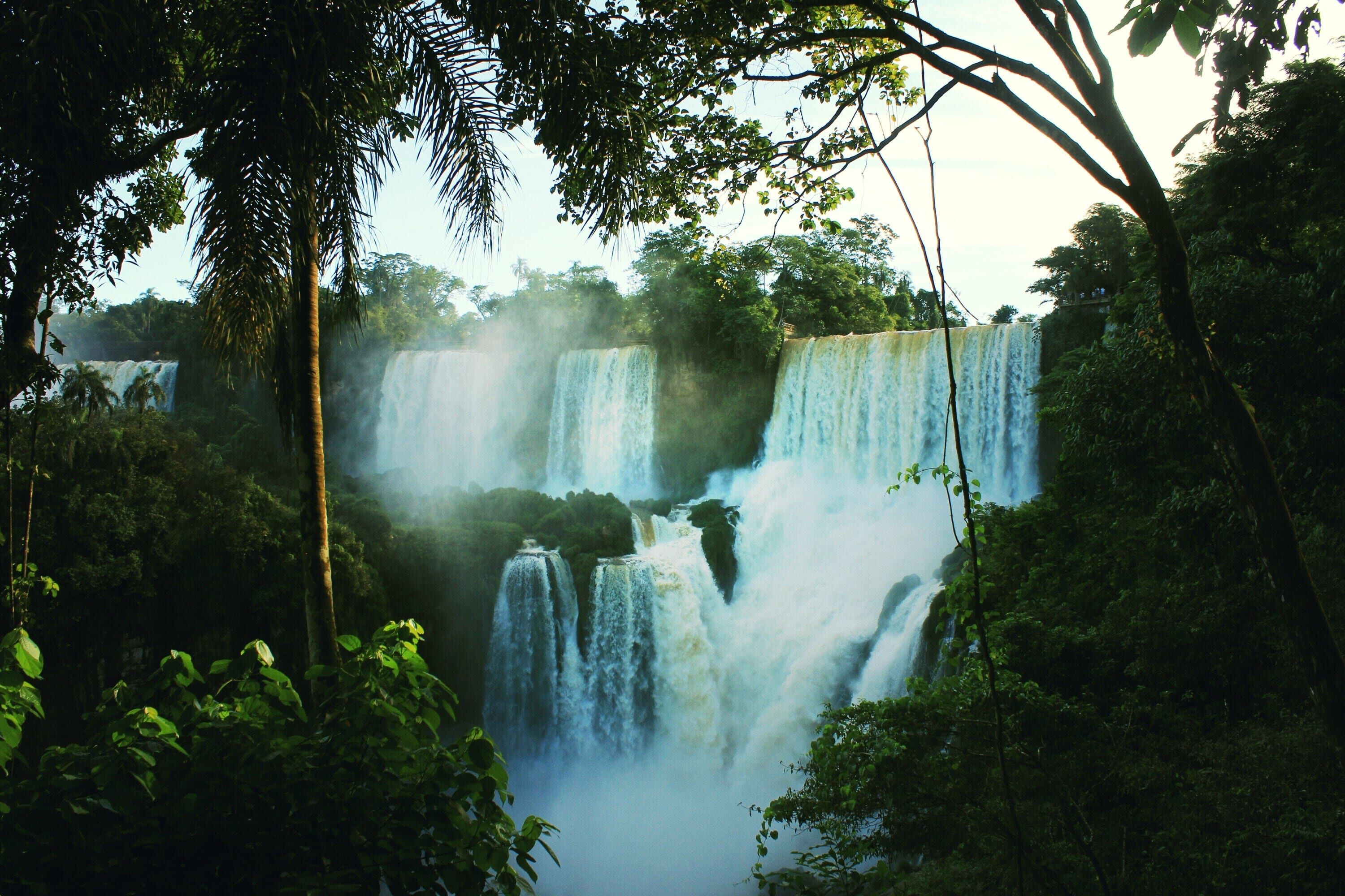 Iberá Wetlands & Iguazú Falls
